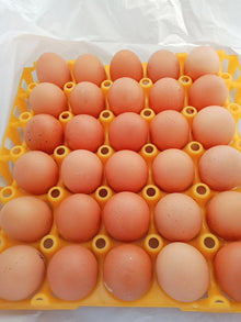crates of Eggs small size