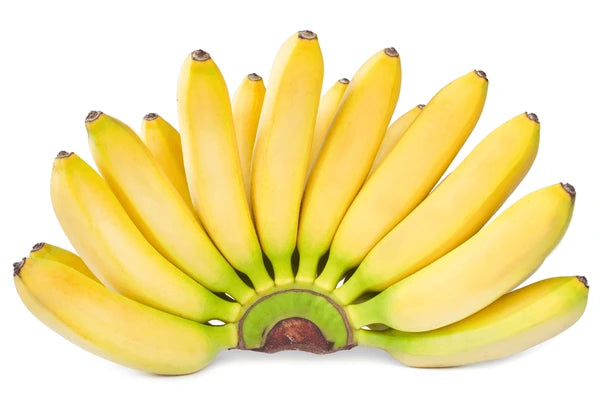 Ripe banana bunch