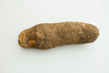 Yam - Big tuber