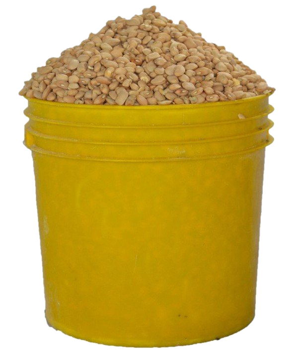 Oloyin Beans  1 paint