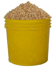 Oloyin Beans  1 paint